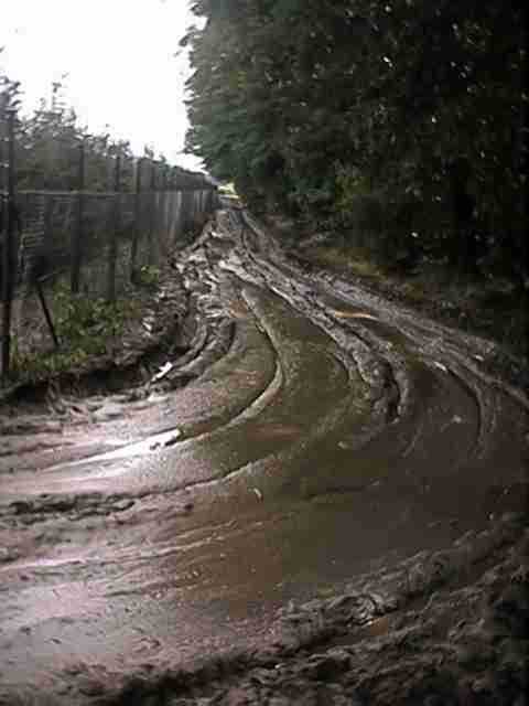 Zondagavond: toegangspad na het kamp 